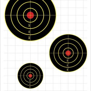 FT-TFT 24:  Pkg of 20 Targets